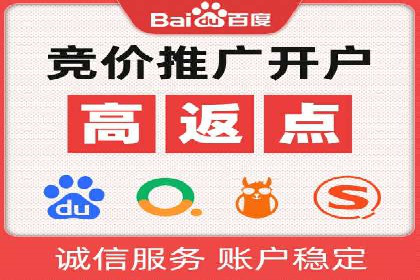成功SEM竞价托管案例分析报告